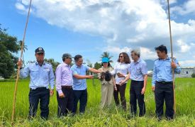 Phát hiện, xử lý 15 vụ giăng lưới tàng hình săn bắt chim yến và chim hoang dã