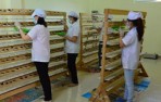 Công ty Yến sào Khánh Hòa làm chủ công nghệ ấp, nuôi chịm yến