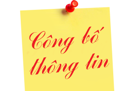 Bản cung cấp thông tin về quản trị Công ty. Kỳ báo cáo: 6 tháng đầu năm 2026/ SKV. Information Disclosure on Corporate Governance. Reporting Period: First Half of 2026